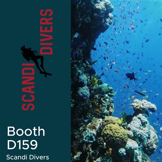 🌊✨ Experience Puerto Galera at the DRT Show 2025! ✨🌊 We’re bringing the beauty of Puerto Galera to the SMX Convention Center, Manila this September 5–7, 2025. Don’t miss the chance to explore our world-class diving and resorts! 🐠🏝️ 📍 Visit booths from Puerto Galera: 🔹 Scandi Divers – Booth D169 🔹 Tech Asia – Booth B61 🔹 LaLaguna Villas – Booth A43 🔹 Coral Reef Safari – Booth C114 Come see why Puerto Galera is a premier dive destination in the Philippines! 💙 | Experience Puerto Galera