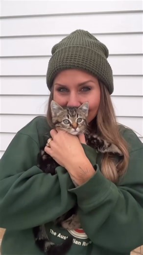 What happens if your kitten is bitten by a Red Back Spider? . . . #kitten #cat #redback #spider