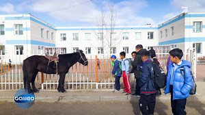 Per #Bus 🚌 oder zu Fuß 👣 - Wie bist du früher in die #Schule gekommen? Rund um den #Globus 🌍 sieht der Weg zum Unterricht allerdings ganz unterschiedlich aus. Wir begleiten junge Menschen aus der Mongolei 🏇 und den #USA 💺 zur Schule. #Galileo | Galileo
