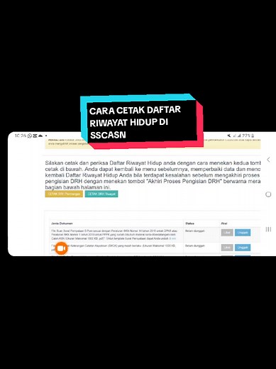 Cara Cetak Daftar Riwayat Hidup di SSCASN untuk PPPK 2024