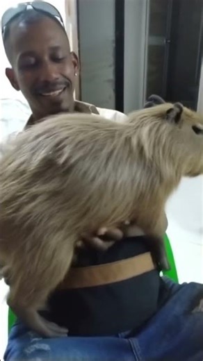 24 de febrero de 2026