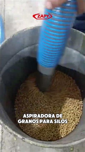 Pedí tu presupuesto al +595 983145246