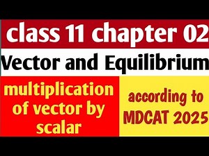 Class 11 chapter 02 vector and equilibrium || multiplication of vector by scalar | MDCAT 2025