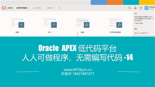 Oracle APEX编程培训-不写代码实现两个应用程序14