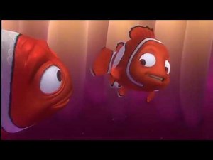 Aussie Finding Nemo