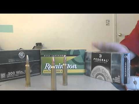 .300 Winchester Magnum