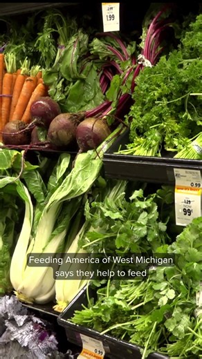Michigan pausing November SNAP benefits 'until further notice'