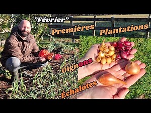 2025 Premières plantations "Oignons et Échalotes"🧅#facile