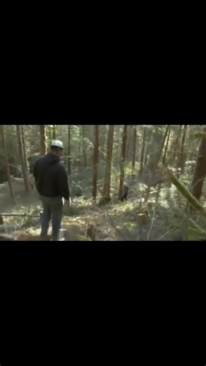 Ax Men” star Gabe Rygaard was killed in a car accident | Jho Daily Vlogs