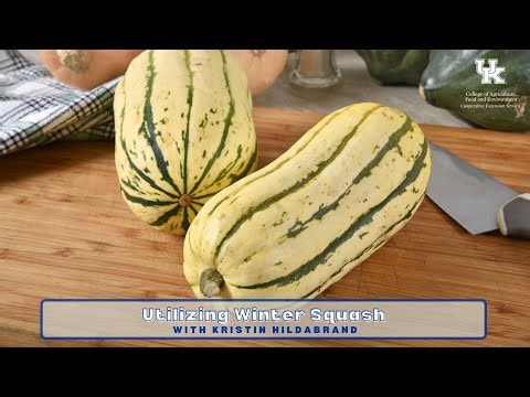 Utilizing Winter Squash