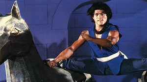 Raiders of the Shaolin Temple
