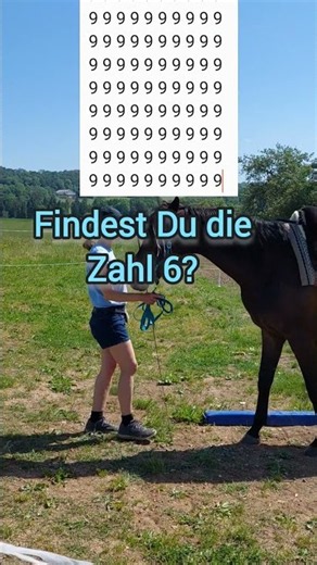 Can you find the number 6? #riddle #brainteaser #numberpuzzle