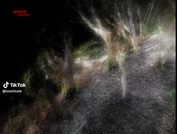 Exploring TouchDesigner: 3D Visuals and Visual Effects