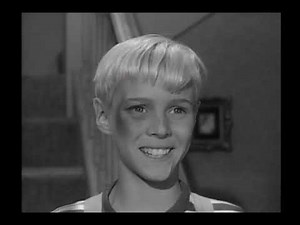 Dennis The Menace - S03E35 - The Bully