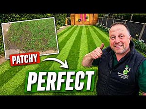 Fix Your Lawn Full Step By Step Guide (Any Budget)