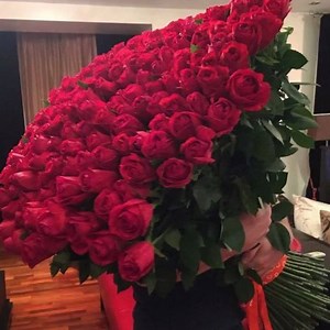 Cei mai frumosi trandafiri 💖💖💖 | Acasă