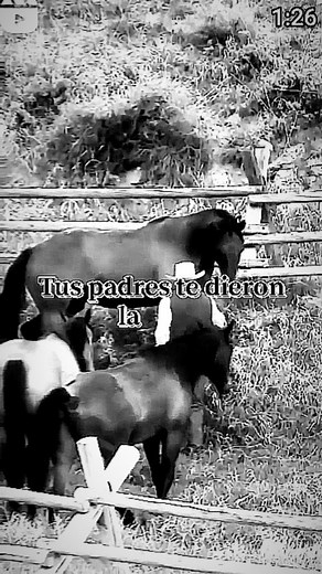 22K views · 60K reactions | #experiencias #durasverdades#Frasesdevida #motivation #viral #2024#fyp #instagram #instagood #cute #17 #lifestyle #beauty #instagram #blessed #blessings #faith ## #beauty #belleza #world #pretty #followforfollowback #worldwide #loyalty #phoenix #trust #awesome #hoymeperdono | Juan Manuel Hernandez | Facebook