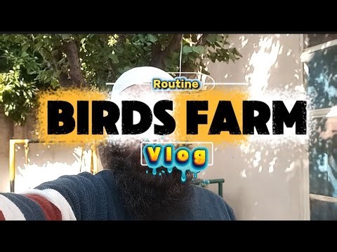 Our Daily Grind: A Full Day of Routine Work on a Bird Farm