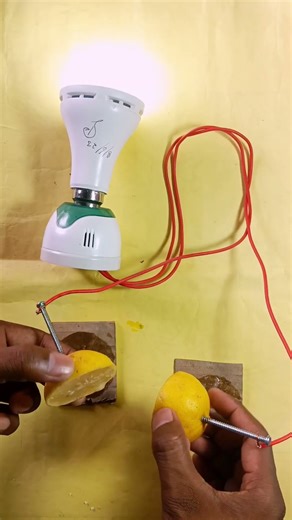 Science Experiment Working Model In Home Project #innovation #experiment #diy #makestuff #dailyideas