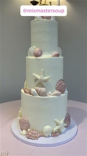 Andie & Rob's pop punk wedding on the coast 🌊 #weddingdj #destinationwedding #poppunk