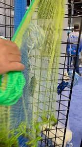 Fitec Cast Nets at iCast 2023 Fitec "Super Spreader" Cast Nets #fishinglife #ICAST | 30milesOUT fish'n TV