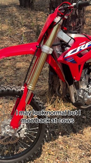 Exploring the Impact of Bike Graphics on Performance