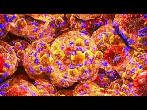 Lipids and it's types class 11 Biology| Acylglycerol Waxes Phospholipid Terpenoids | Hindi Urdu | SK