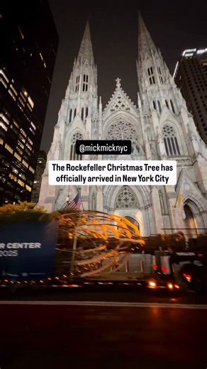 It’s here 🎄 The Rockefeller Center Christmas Tree made its way through the city streets tonight, rolling past St. Patrick’s Cathedral before arriving at 49th Street. The countdown to Christmas has officially begun 🎅 @rockefellercenter ❤️ | New York Mickey