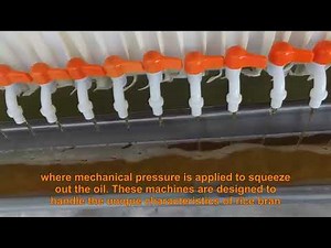 Rice bran oil pressing equipment process flow and principle