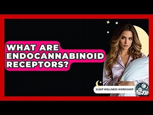 What Are Endocannabinoid Receptors? - Sleep Wellness Workshop