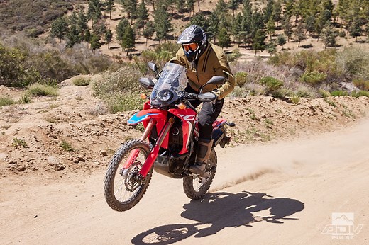 2021 Honda CRF300L and CRF300L Rally First Ride Review - ADV Pulse