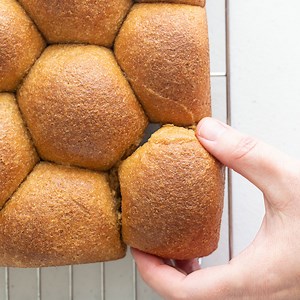 Vegan Whole Wheat Dinner Rolls - A Red Spatula