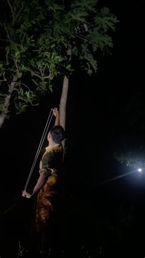 Tepat sasaran #trending #cuteanimals #amazing #funny #explore