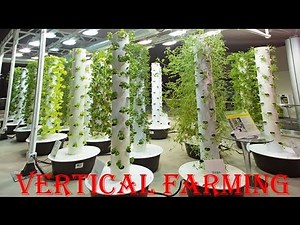 Vertical Farming | New Technology | Uses No Soil and Less water | INDIA