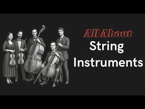 All About String Instruments 🎻