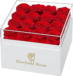 Eterfield Forever Flowers Preserved Roses Real Roses That Last Over a Year Rose Box Gifts for Her Mothers Day Valentines Day Christmas (Square White Box, 16 Red Roses)