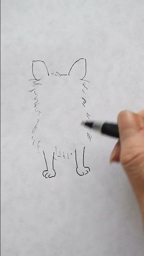 How To Draw A Cute Long Coat Chihuahua (Step-by-Step Visual Tutorial) #shorts