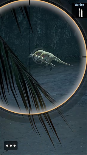 Kangaroo🦘 Hunting at Night #wildhunting