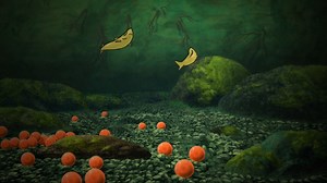 NOAA Salmon Project "Habitat"