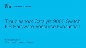 Troubleshoot Catalyst 9000 Switch FIB Hardware Resource Exhaustion