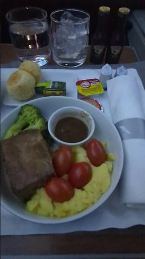Is American Airlines Business Class Food Actually Good? 🍽️