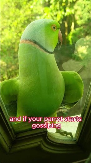 Amazing Parrot Facts You Didn’t Know 🦜 | Funny & Smart Pet Secrets