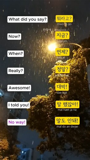 Most Used Korean Expressions | Learn Korean Daily Phrases 🇰🇷