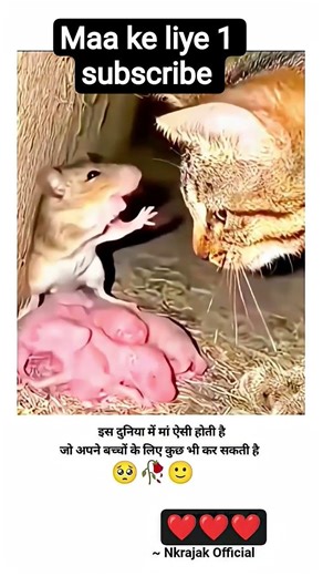 maa ke liye ek subscribe plz