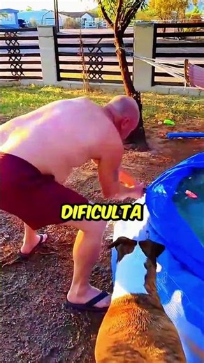 Porque eles CORTAM as PISCINAS? #curiosidades #piscina #interessante