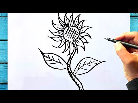 Tuto dessin tournesol facile, comment dessiner une fleur de tournesol a dessiner
