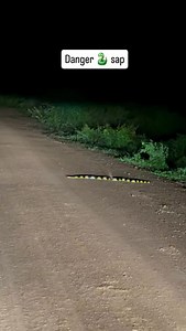 Danger 🐍 sap | Rahul Kalandi