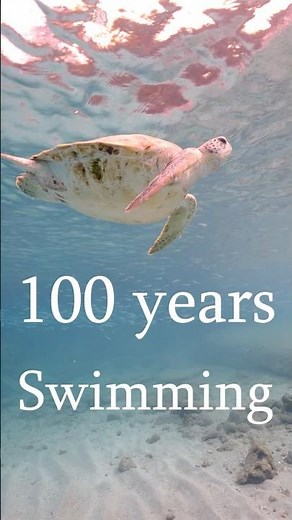 This sea turtle has been swimming for 100 years