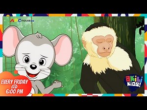 ABC Mouse Search And Explore | The Monteverde Cloud Forest | Akili Kids!
