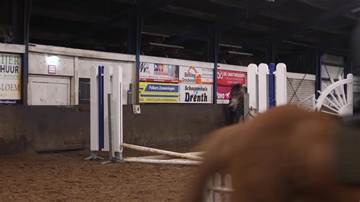  Springlessen bij PSV De Driesporen  Elke dinsdagavond in de even weken verzorgt Hester Schrik de springlessen in Onstwedde. Geschikt voor leden én niet-leden, ook als je recreatief springt.  Hoogte bepaal je zelf!  €15 per les (contant)  Aanmelden & info via WhatsApp: Jan Heino – 06-27027649 Kom gezellig meedoen! ✨ | PSV De Driesporen | Facebook
